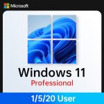 windows 11 拷贝 6