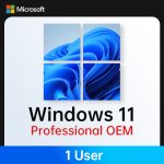 windows 11 拷贝 7